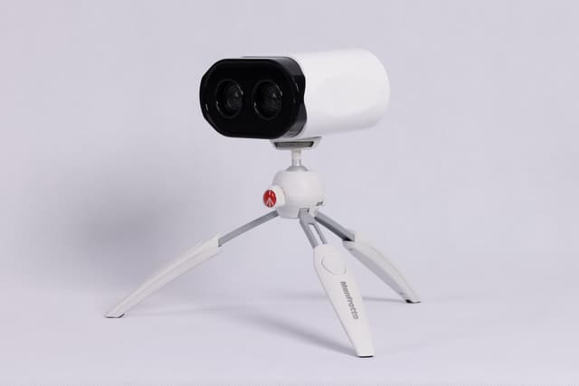 Palm – Product photo
